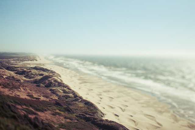 timefliestoday:  sem título by kevin russ on Flickr. 