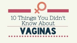 internationalsexploration:  Vaginas are awesome!