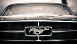 automotivated:  Ford Mustang (by pskrzypczynski)