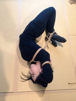 thevertigonetwork: Shibari : Naka AkiraModel