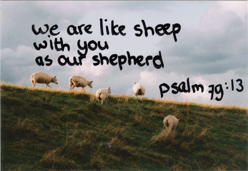 littlethingsaboutgod:  Psalm 79:13 We are like sheep, with you as our Shepherd.