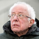 bustedbernie avatar