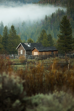 atraversso:  Nestled in the Woods  by Brian