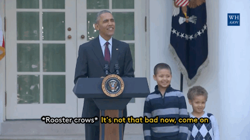 refinery29:President Obama, aka the Dad Joke POTUS, just released the most glorious seven minutes of