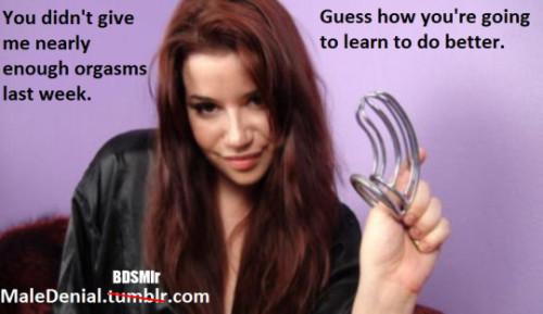 miss-julies-missives: MISS-JULIE’S-MISSIVES—ARCHIVE We have that cage coming this week… getti
