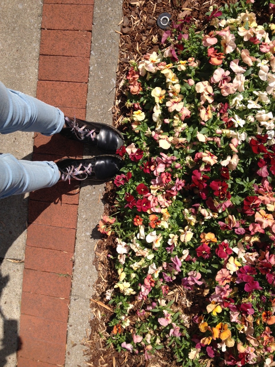ghostiegrrl:  Adventures of Spencer’s feet