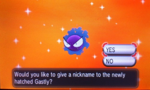 blackthorngym:MY FIRST SHINY SINCE RUBYomf you get to have shiny mega gengar