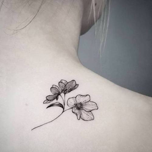 Tumblr Tumblr