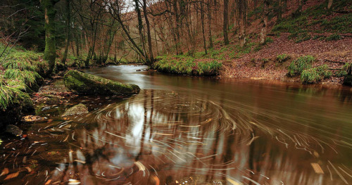 Fingle bridge by LenseWorks on Flickr.