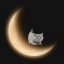 mooncoredreamer