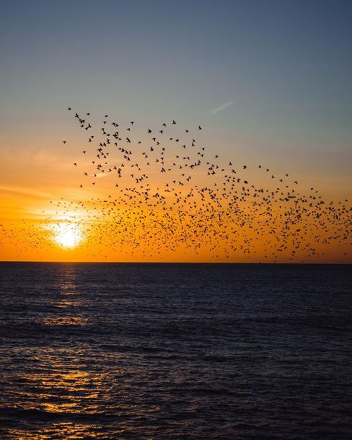 Calming⠀⠀⠀⠀⠀⠀⠀⠀⠀⠀⠀⠀⠀⠀⠀⠀⠀⠀⠀⠀⠀⠀⠀⠀⠀⠀⠀⠀⠀⠀⠀⠀⠀⠀⠀⠀⠀⠀⠀⠀⠀⠀⠀⠀⠀#ocean #ukpotd #brighton #britains_talent #brigh