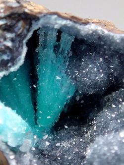 bijoux-et-mineraux:  Chalcedony coating Fluorapatite