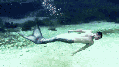 The Tall Merman