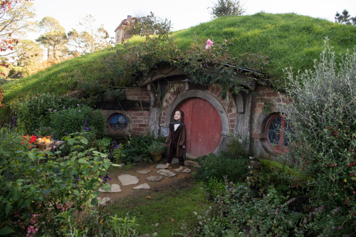 captainhanski:  Hobbiton / The ShireHannah Ray - twitter | instagram | blog | facebookblog post: here