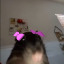 jankbotekoreal