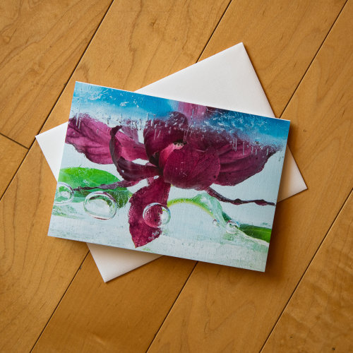 Fine Art Gorgeous Frozen Flower Blank Greeting Card w/envelope, All Occasion Note Card - 5"x7&q