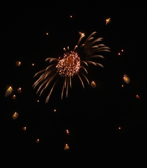 Japanese  Fireworks　 ‘Toyota City Fireworks Festival’ July 28, 2013 花火＝はなび＝Hanabi＝Fireworks