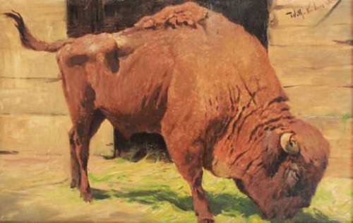 art-and-things-of-beauty:European Bisons by Wilhelm Kuhnert (1865 - 1926