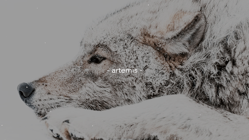 lilyvans: the women of olympus make me choose: @aeryastark asked: arthurian legend or greek mytholog