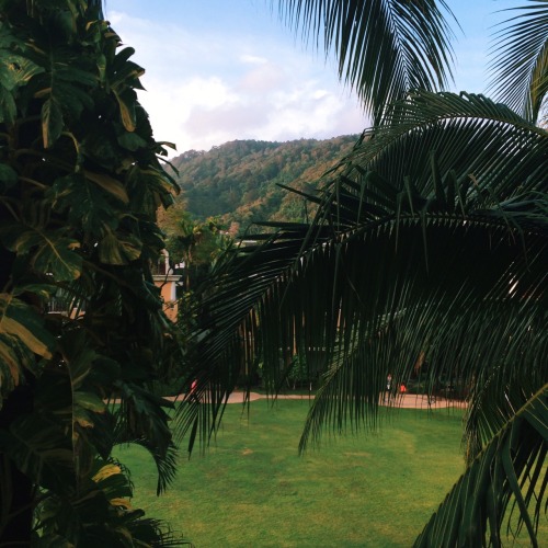 paerd: The view I woke up to in phuket 1:00pm and 5:00am