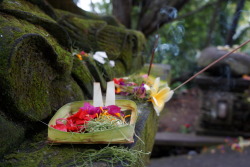 Traditional Balinese Offering in Bali, Indonesia http:///www.fascination-st.tumblr.com