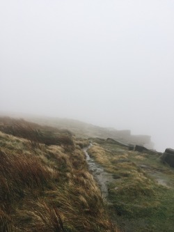 warmhealer:  I went for a walk on the moors;