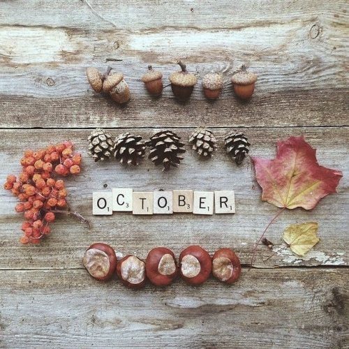 Thank you @tamsynmorgans for such beautiful flat lays. Hello October! #hellooctober #welcomeoctober 