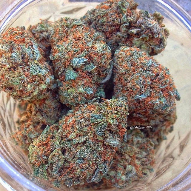 weedporndaily:   Always fire in the jar👌🍁🔥 by dblazin420 http://ift.tt/1eeeXmP