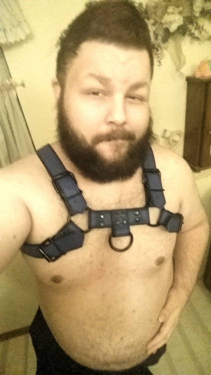 kimatiger:Was at my friend’s house the other night and got to try on his pup gear. The hood is a bit small for my large head but the harness fits perfectly!
