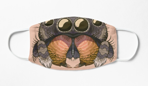 a-book-of-creatures: palossssssand:BOLD JUMPING SPIDER is a new mask design! Teal Redbubble  