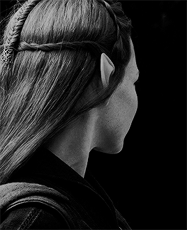 malecs: The king is angry, Tauriel. For 600 years my father has protected you, favored you. You defi