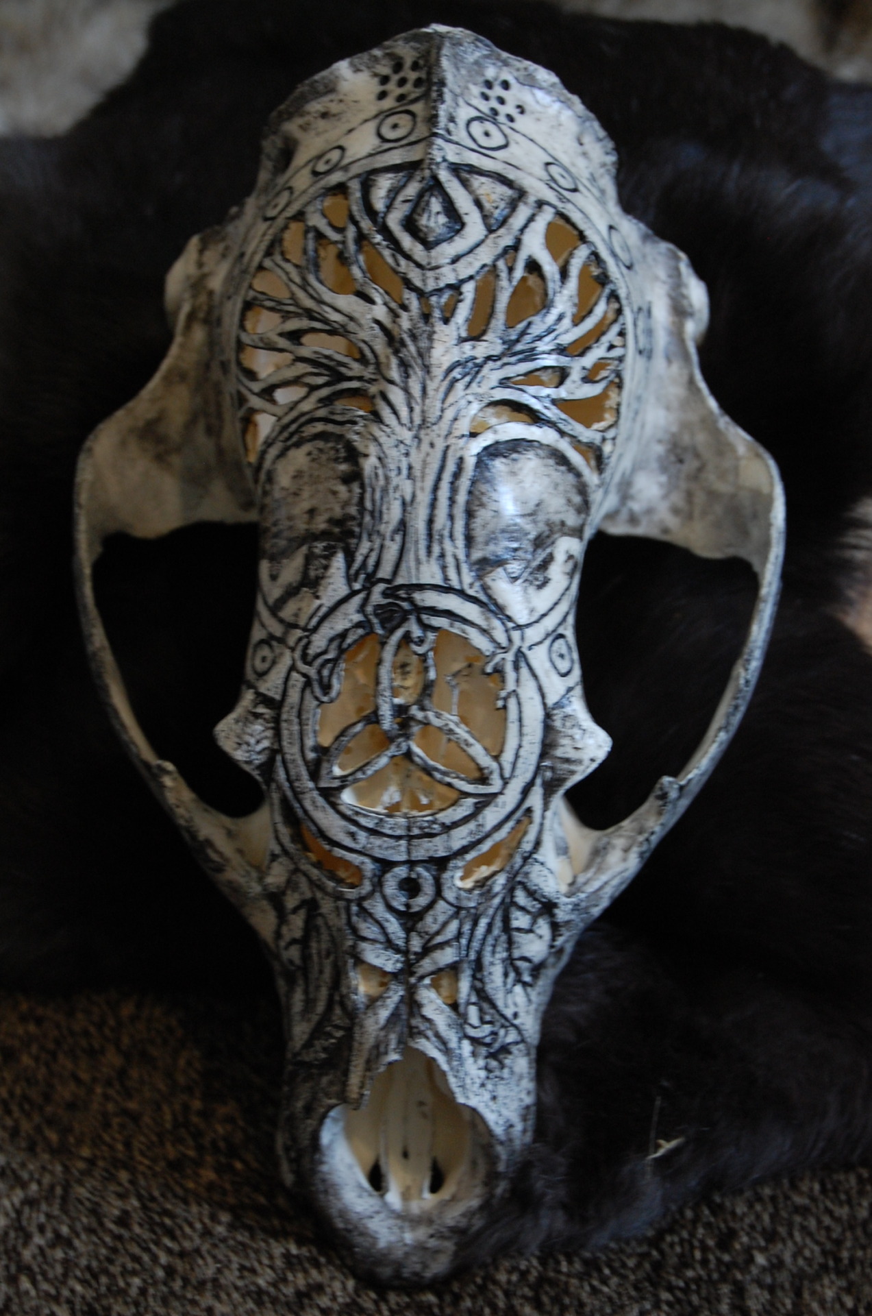 magicallycapricious:  Carved black bear skull. Tree of life and a triquetra.  Available