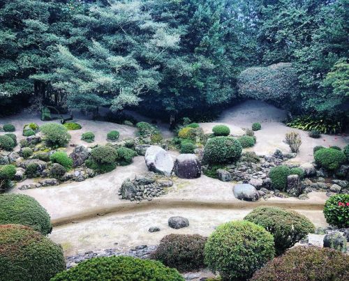 ＼おにわさん更新情報／ ‪[ 福岡県福岡市 ] 妙福寺庭園 Myofuku-ji Temple Garden, Fukuoka の写真・記事を更新しました。 ーー1年間で8時間だけ拝観のチャンスがある