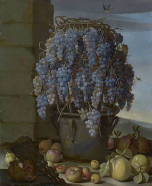 wtxch: Luca Forte (Italian,c.1610-1670)Still Life with Grapes ,1630s