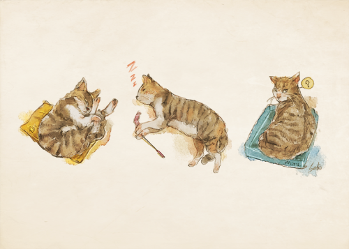 sycoa:Cat