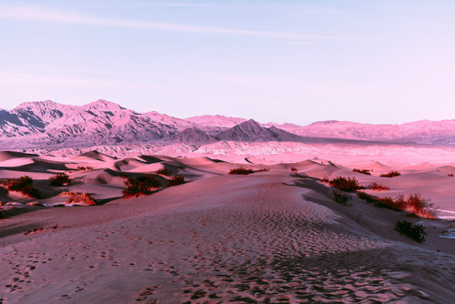 leahberman: dusky desert death valley national porn pictures