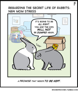 REGARDING THE SECRET LIFE OF RABBITS