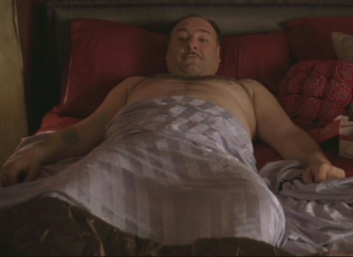 adam-and-celebrity-chubs:  Adam-and-Celebrity-Chubs #21  James Gandolfini  (Actor)