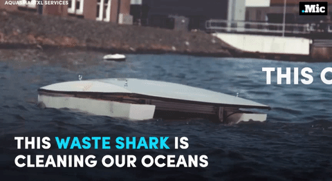 the-future-now:  i wouldn’t mind meeting this shark in open waters (x) | follow