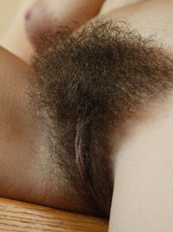 bigsohotpubes:  More Hairy Babes HERE  