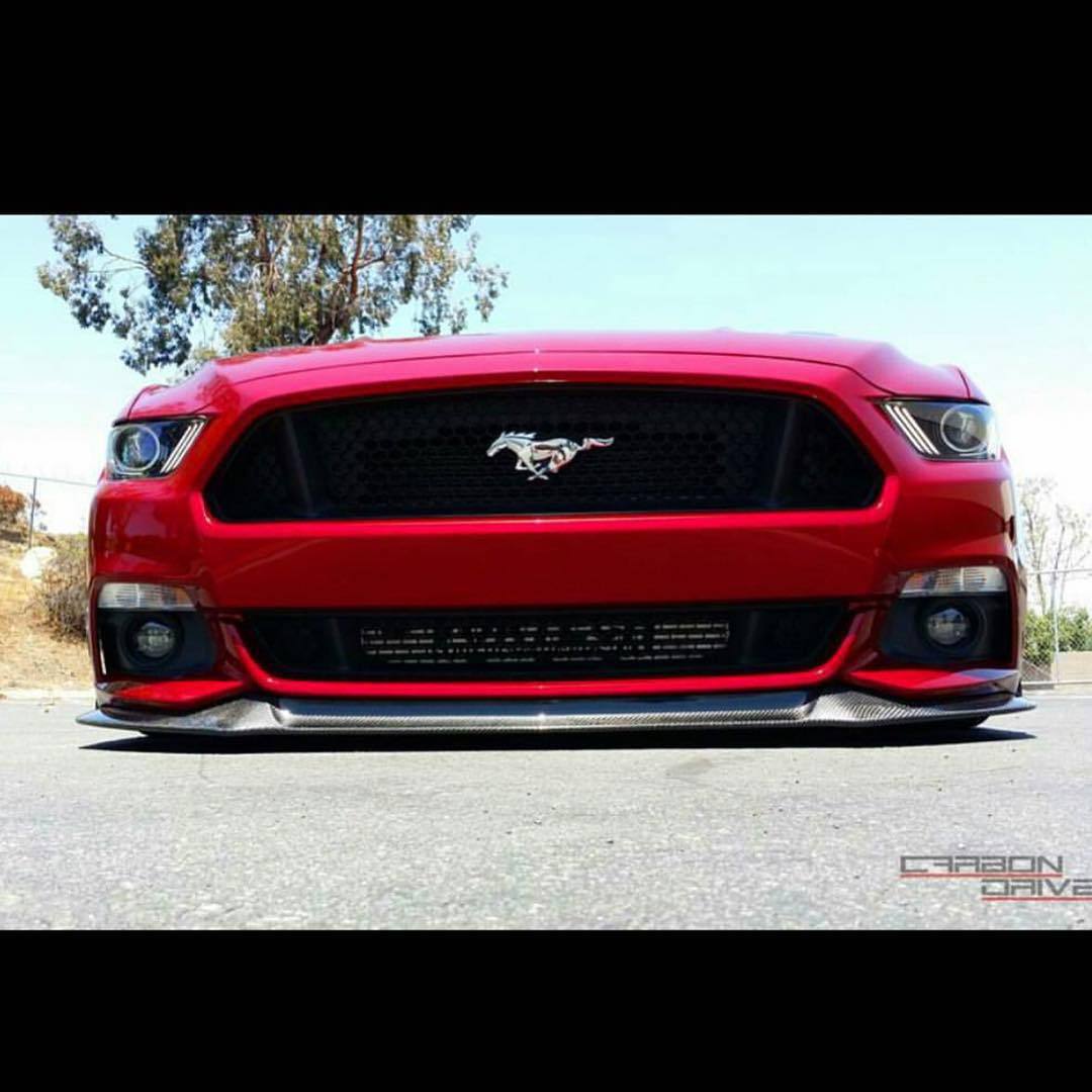 musclefords:  @igfords #ford#Mustang#SVT tag-&gt; #american_muscle_mustangs /