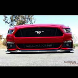 musclefords:  @igfords #ford#Mustang#SVT tag-&gt; #american_muscle_mustangs / @carbondriven with that lip