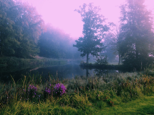 Early morning by Sofie Nilsson