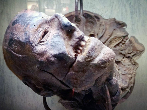 cultofweird:  The bisected and mummified head of German serial killer Peter Kurten, who was beheaded for his crimes in 1931. He was so deranged, doctors believed his brain had to be physically different than the average person. So his head was preserved