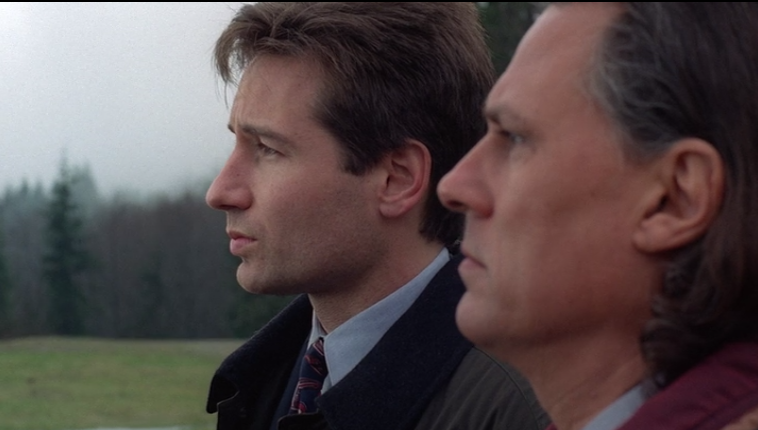 The signs as our favorite out-of-context x-files screen-caps.