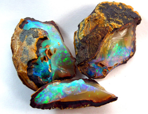 Yowah Nut Opal - Australia