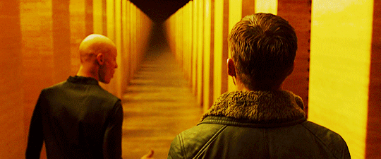 cinemaspam:   Blade Runner 2049 (2017) Dir. Denis Villeneuve Cinematography by Roger