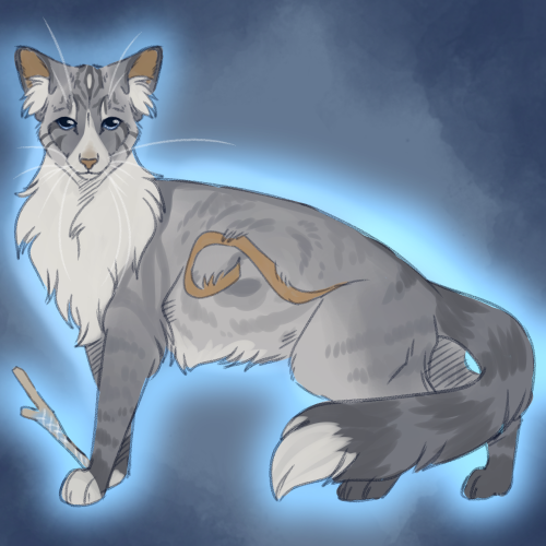 warriors cat stuff — cryptidclaw: Bluestar redesign! I made her