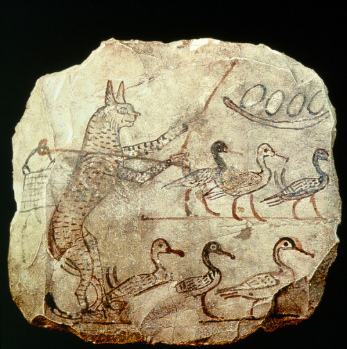 fromthedust:limestone ostracon (painted scene from a fable) - New Kingdom, 19th dynasty,  Egypt - c.