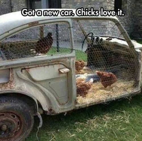 justbadpuns: Cluckin hell
